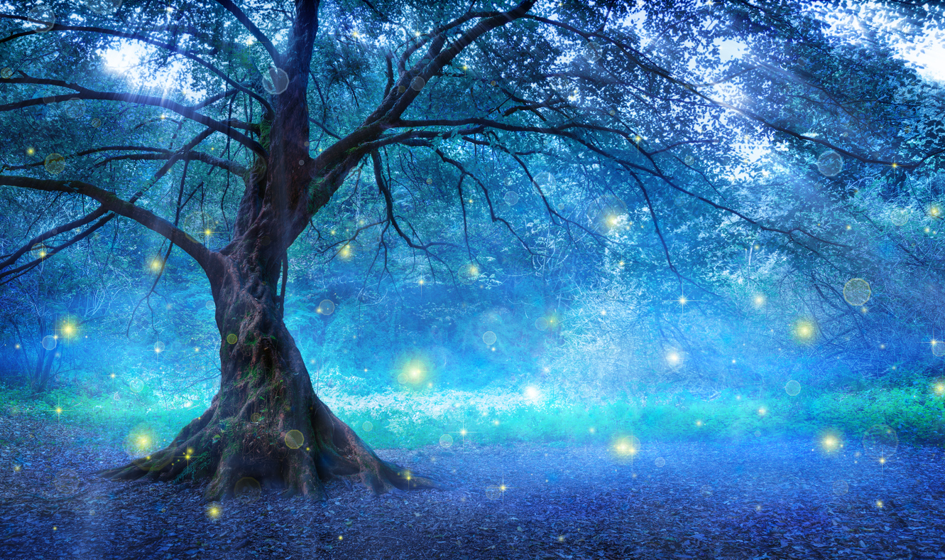Fairy Tree In Mystic Forest archetypes
